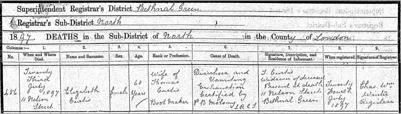 Curtis_Elizabeth_Nee_Christmas_Death_Age60_1897