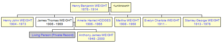 Mini tree diagram