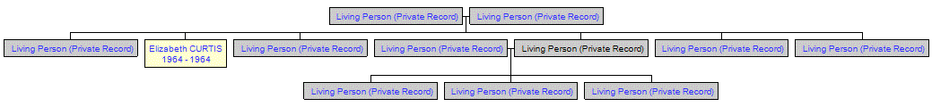 Mini tree diagram