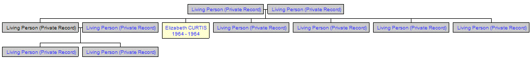 Mini tree diagram