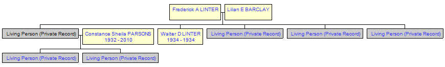 Mini tree diagram
