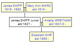 Mini tree diagram