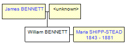 Mini tree diagram