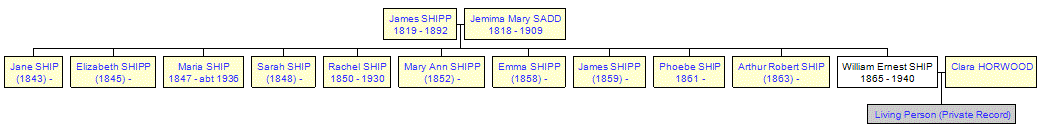 Mini tree diagram