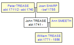 Mini tree diagram