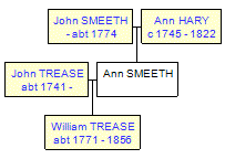 Mini tree diagram