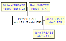 Mini tree diagram