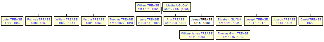 Mini tree diagram