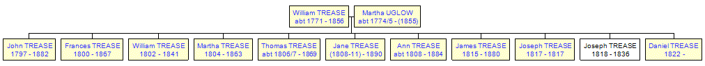 Mini tree diagram