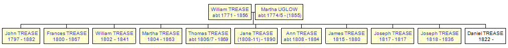 Mini tree diagram