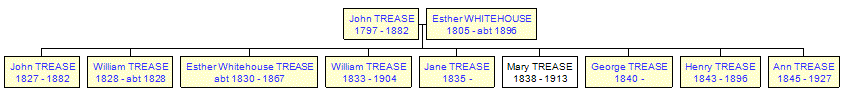 Mini tree diagram