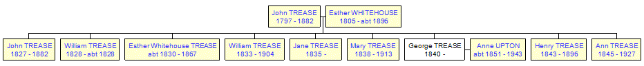 Mini tree diagram