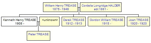 Mini tree diagram