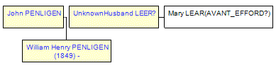 Mini tree diagram