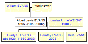 Mini tree diagram