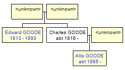 Mini tree diagram