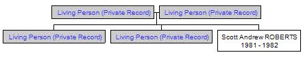 Mini tree diagram