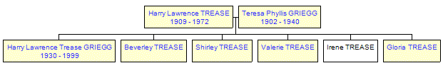 Mini tree diagram