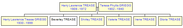 Mini tree diagram