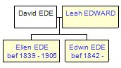 Mini tree diagram