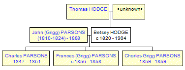 Mini tree diagram