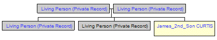 Mini tree diagram