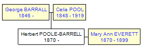 Mini tree diagram