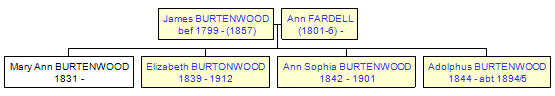 Mini tree diagram