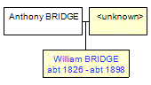 Mini tree diagram