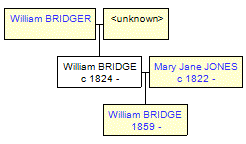 Mini tree diagram