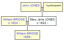 Mini tree diagram