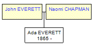 Mini tree diagram