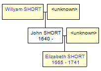 Mini tree diagram