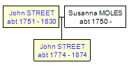 Mini tree diagram