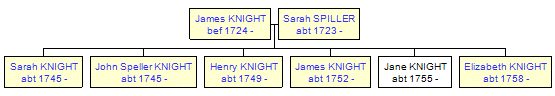 Mini tree diagram