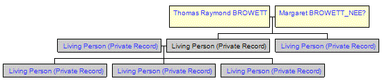 Mini tree diagram