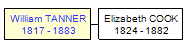 Mini tree diagram