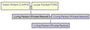 Mini tree diagram