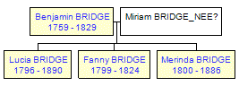 Mini tree diagram