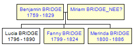 Mini tree diagram