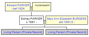 Mini tree diagram