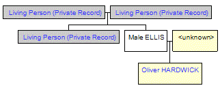 Mini tree diagram