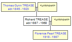 Mini tree diagram