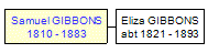 Mini tree diagram