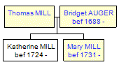 Mini tree diagram