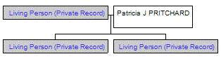 Mini tree diagram