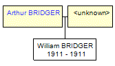 Mini tree diagram