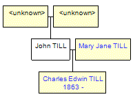 Mini tree diagram