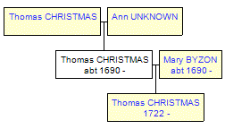 Mini tree diagram