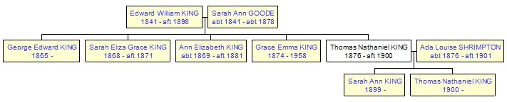 Mini tree diagram